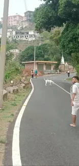 Man walks on scenic hilly road with greenery.