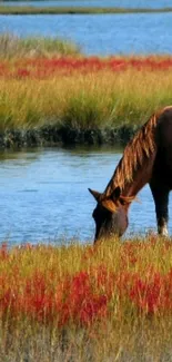 Horse grazing by a calm lake with vibrant colorful grass.