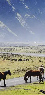 Horses grazing on a meadow with mountains in the background.