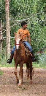 A person riding a horse through lush green woods, creating a serene scene.