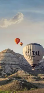 Hot air balloons float over scenic landscapes at sunset.