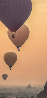 Hot air balloons floating against a sunset sky.