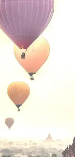 Vibrant hot air balloons over a scenic landscape.