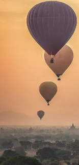 Hot air balloons floating at sunset over a scenic, misty landscape.