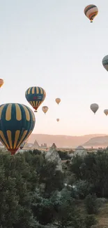 Hot air balloons soar above a serene landscape at sunrise.