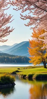 Scenic lake with cherry blossoms and autumn trees under blue sky.