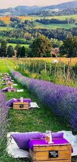 Lavender field with scenic hills in the background, perfect for a calming wallpaper.