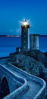 Nighttime lighthouse with rocky path and blue night sky.