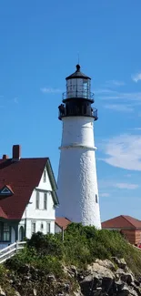 Lighthouse by the sea with blue sky and coastal scenery mobile wallpaper.