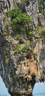 Majestic limestone cliff with lush greenery and ocean view background.