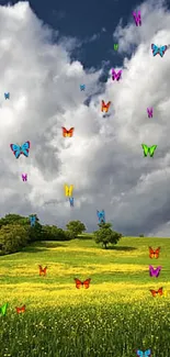 Lush green meadow under a cloudy blue sky.