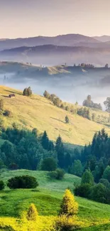 Serene mobile wallpaper of misty hills under a soft morning sky.