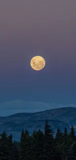 Moonlit mountain and twilight sky wallpaper.