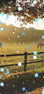 Pastoral morning scene with horses and bokeh effects under autumn leaves.