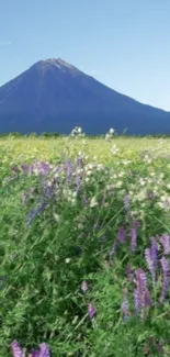 Beautiful mountain with lush green field and purple flowers, perfect for mobile wallpaper.