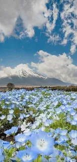 Mountain view with blue flowers and clear sky.