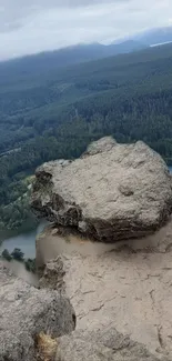 Rocky cliff with lush forest and distant mountains.