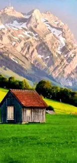 Rustic cabin in a green field with mountain backdrop.