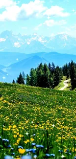 Captivating lush green mountain field with colorful wildflowers under a bright blue sky.