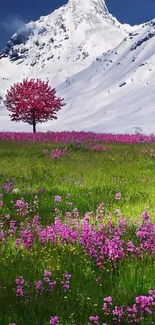 Scenic field with pink tree and snow-covered mountains.