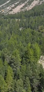 A scenic view of a green forest and mountains under a blue sky with a winding road.