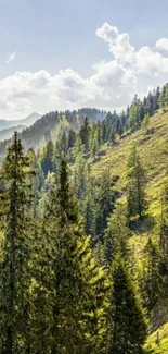 Scenic mountain forest wallpaper with vibrant greenery and sunlit trees.