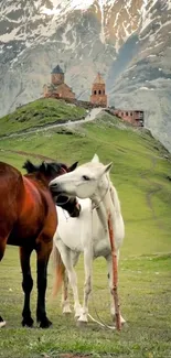 Two horses grazing with mountain chapel background.