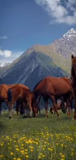 Beautiful horses grazing in a mountain meadow.