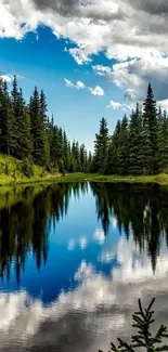 Serene mountain lake with tree reflection.