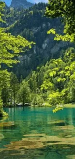 Vibrant mountain lake with lush greenery and scenic view.