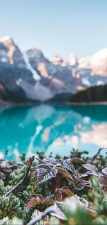 Beautiful view of a mountain lake with frosted leaves in the foreground.