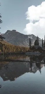 Mountain lake view with blue sky and forest reflection.