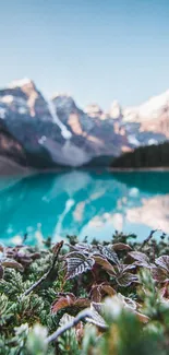 Mountain lake with blue waters and frosted greenery in foreground.