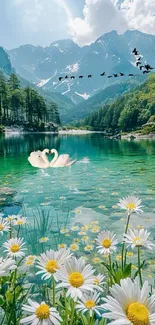 Tranquil mountain lake with swans, trees, daisies, and blue sky.