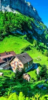 Lush green valley with mountain backdrop and rustic houses.