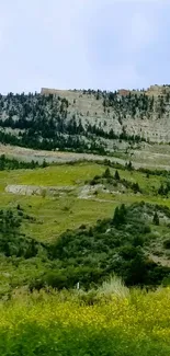 Beautiful green mountain landscape with rocks.