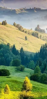 Mobile wallpaper of green rolling hills under a serene sky.