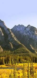 Scenic mountain landscape with forest and sky background.