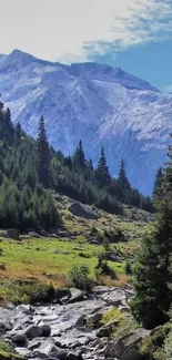 Scenic mountain landscape with forested valley.