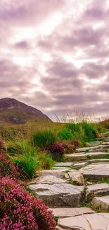 Path through lush greenery with mountain backdrop.