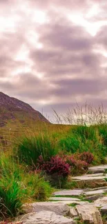 Serene mountain path with cloudy sky and vibrant greenery.