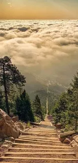 Scenic mountain path above clouds with vibrant forest.