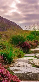 Scenic mountain path with greenery and flowers.