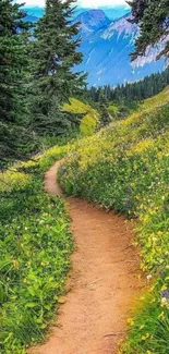 Scenic mountain path with lush greenery and distant mountains.