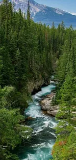 A picturesque view of a mountain river surrounded by a lush green forest.