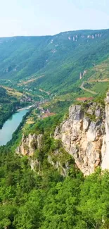 Breathtaking view of a river through lush green mountains.