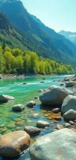 Peaceful mountain river with clear water and green surroundings.