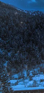 Scenic night view of a mountain road with light trails and snowy mountains.