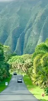 Scenic road through lush green mountains.