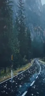 Scenic mountain road with evergreen trees and mist.